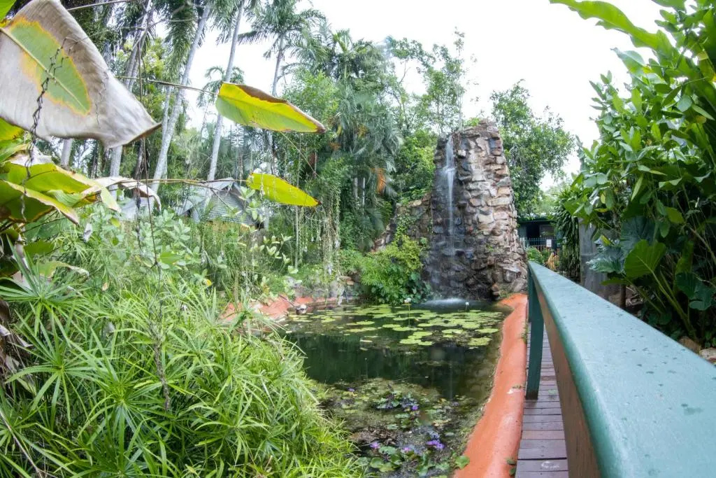 Batchelor Butterfly Farm