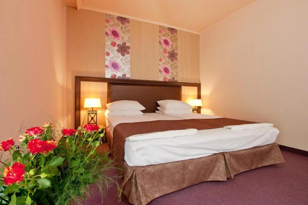 Balneo Complex & Spa Aquatonik - Chambres