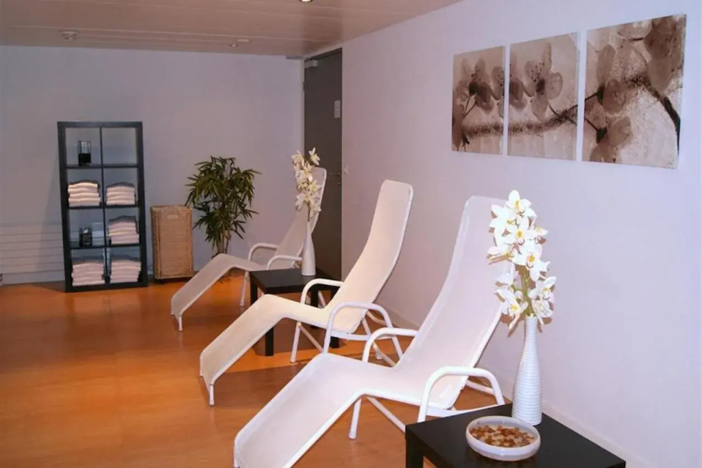 Airport Hotel Basel - Général