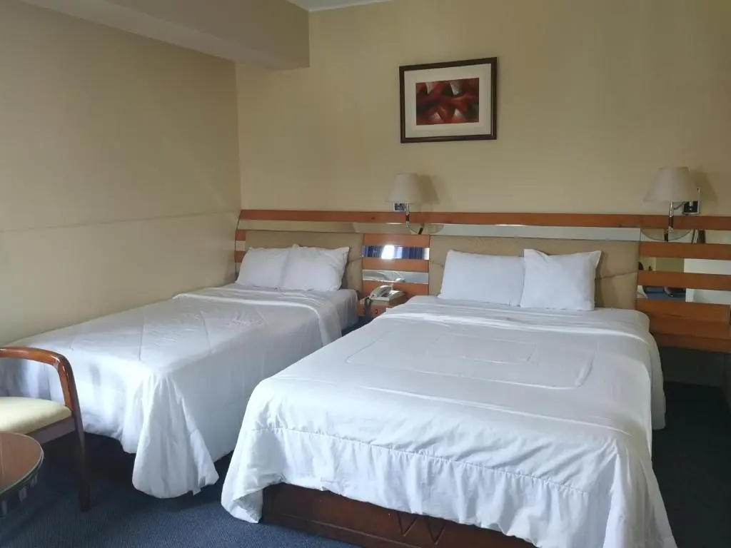 Standard Double room (twin beds)