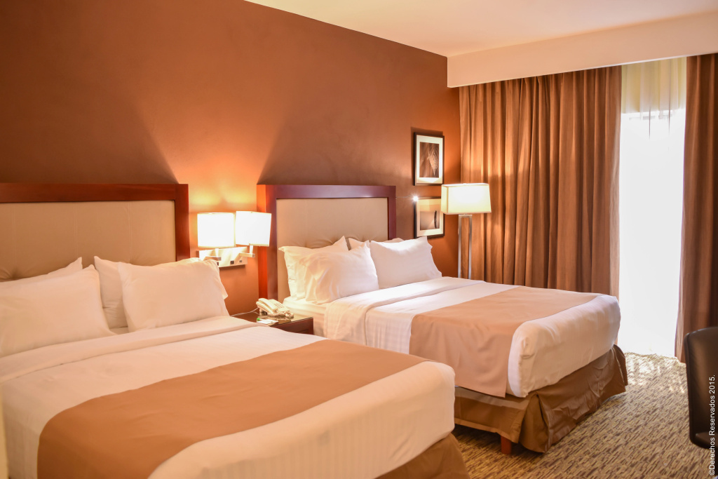 Holiday Inn Leon by IHG - Général