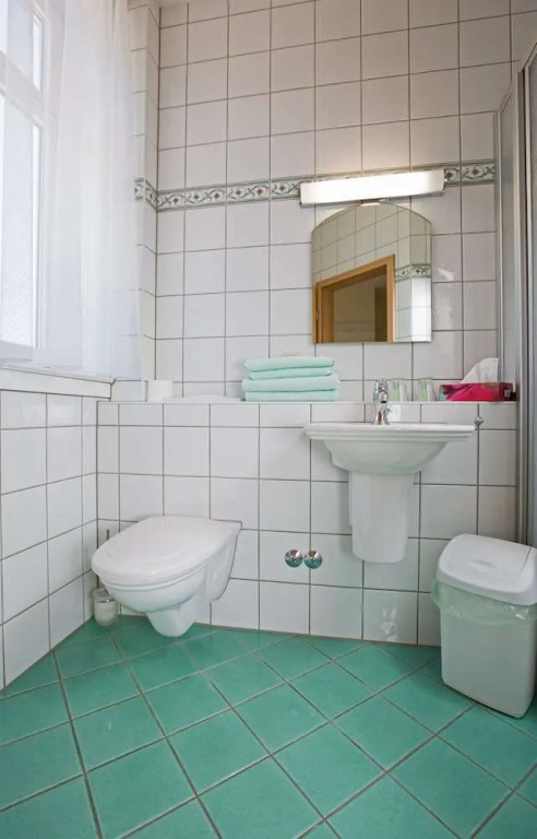 Hotel und Landgasthaus Zur grünen Erle - Général