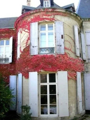 Chateau De Saint Michel De Lanes