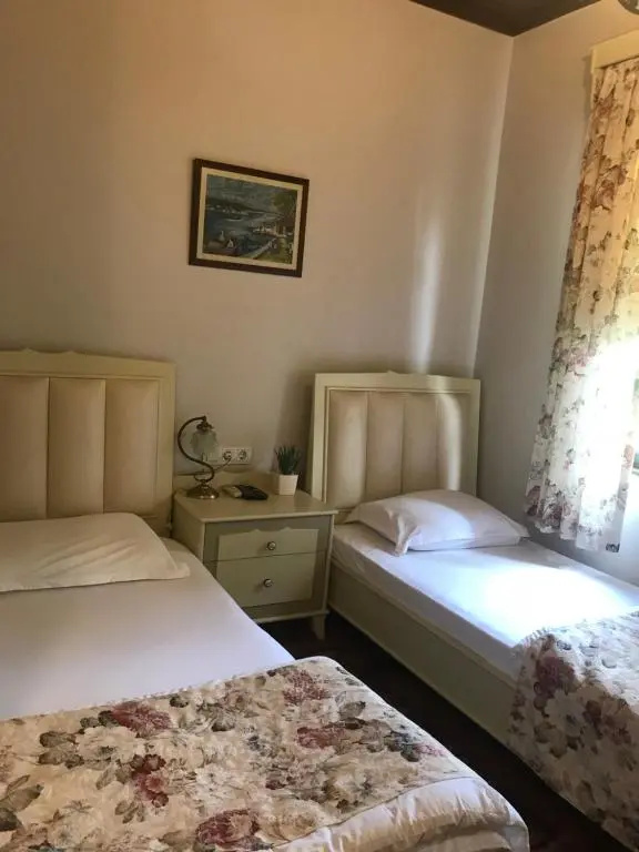 Standard Double room with garden view (twin beds)