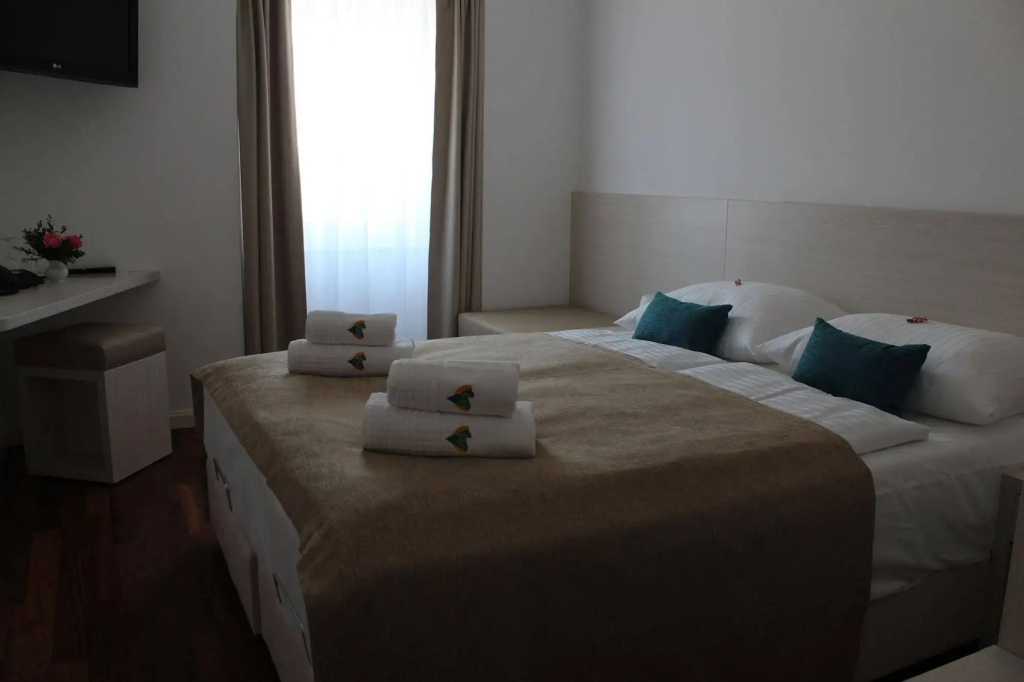 Hotel Borovnik - Général