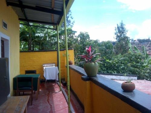 Balcony & Terrace