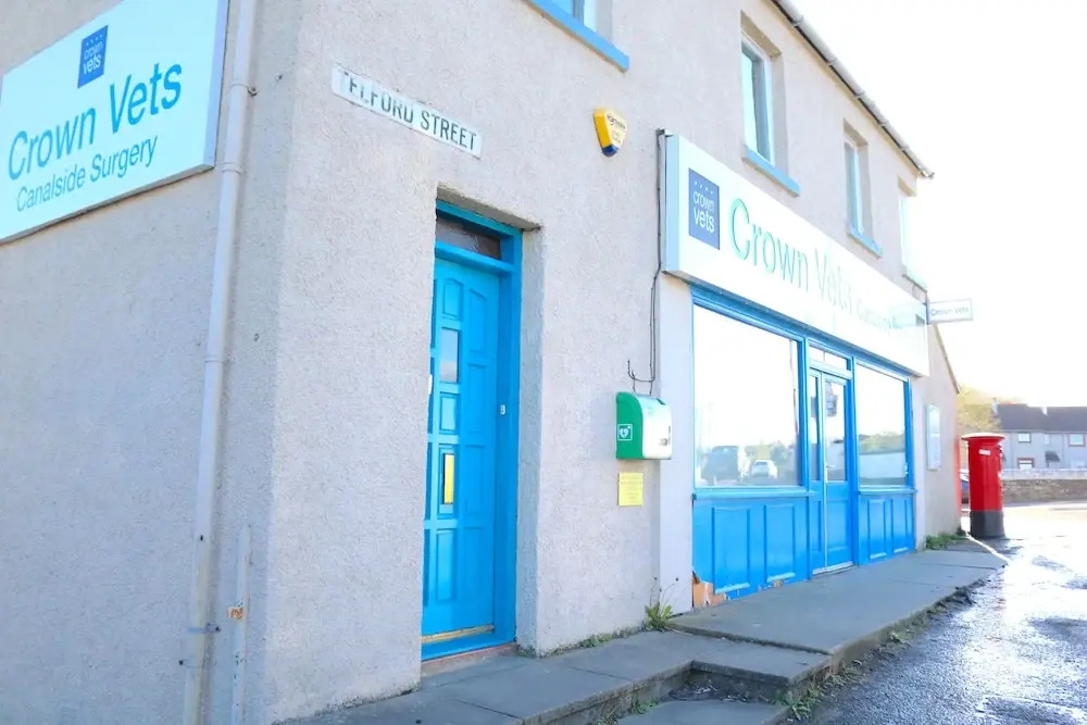 Bright 4 Bed Family Home by the Canal