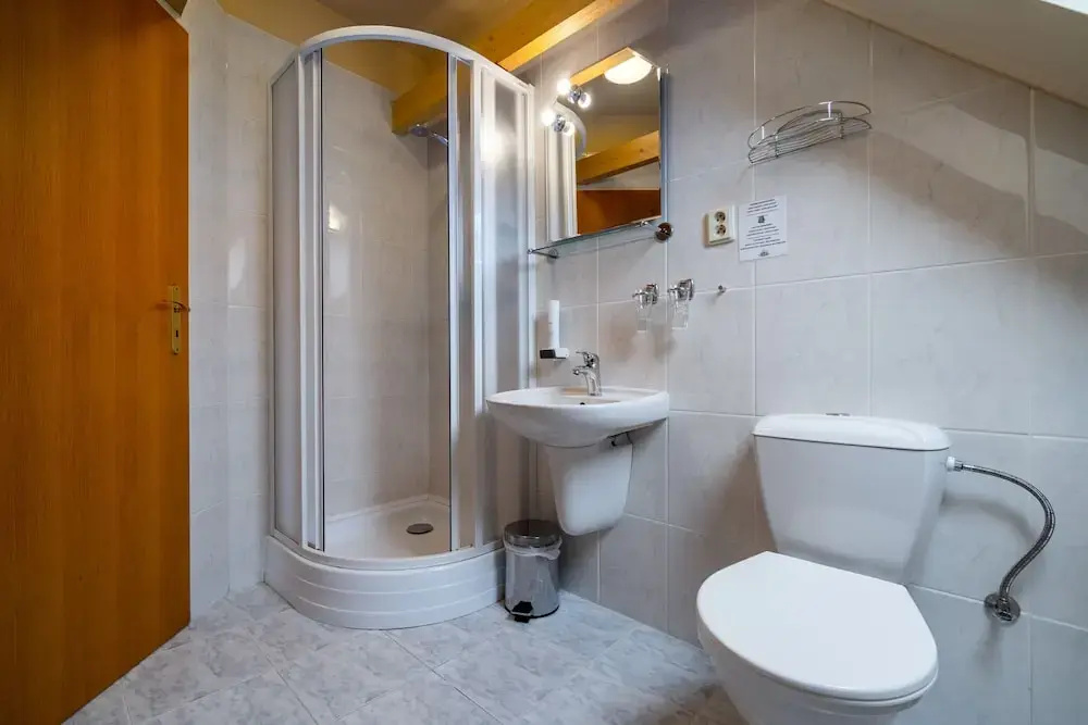 Hotel U Vlasskeho Dvora - Général