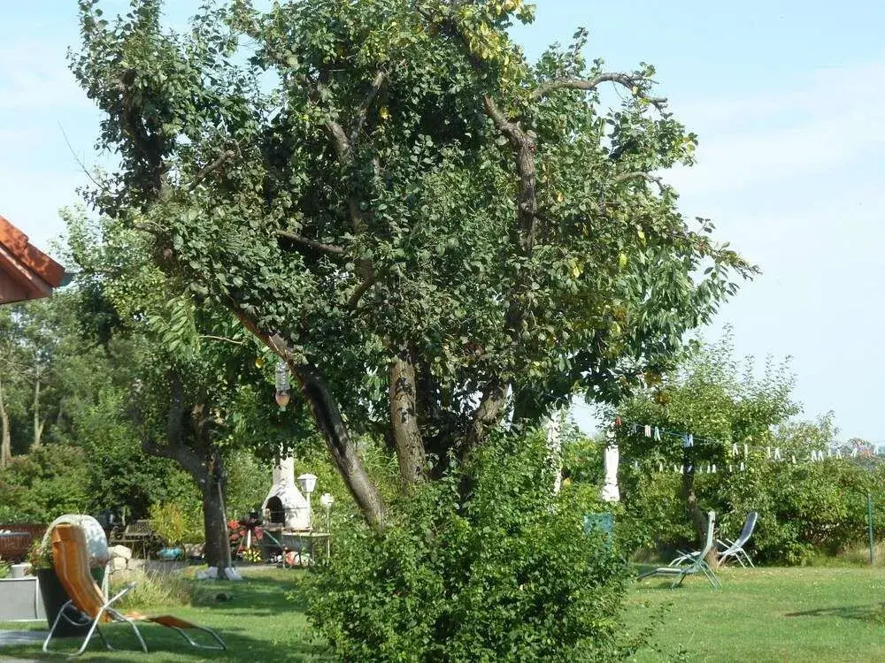 Pleasant Holiday Home in Malchow near the Beach
