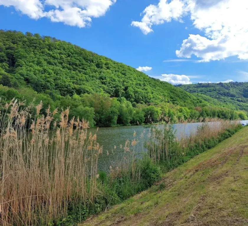 Gasthaus und Pension Zum Stausee - Général
