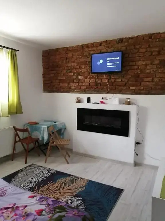 6 Ecaterina Varga st. Apartment