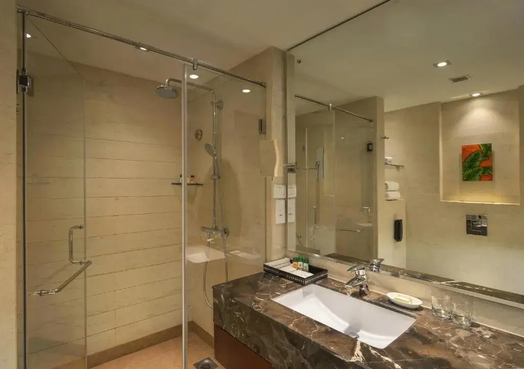 Superior Double room (full double bed)