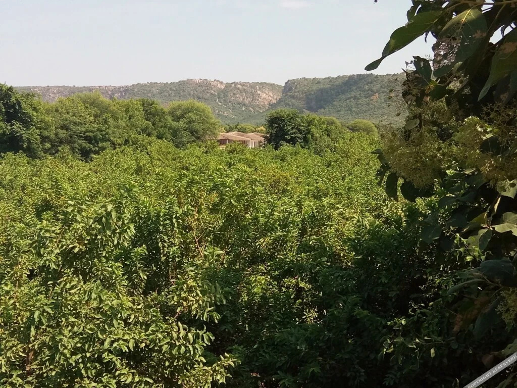 Hotel Ranthambore Vinayak