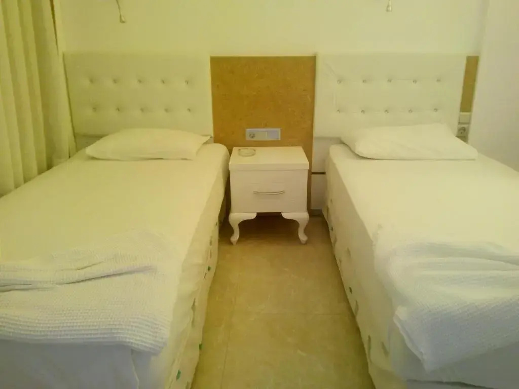 Standard Double room with land view (twin beds)