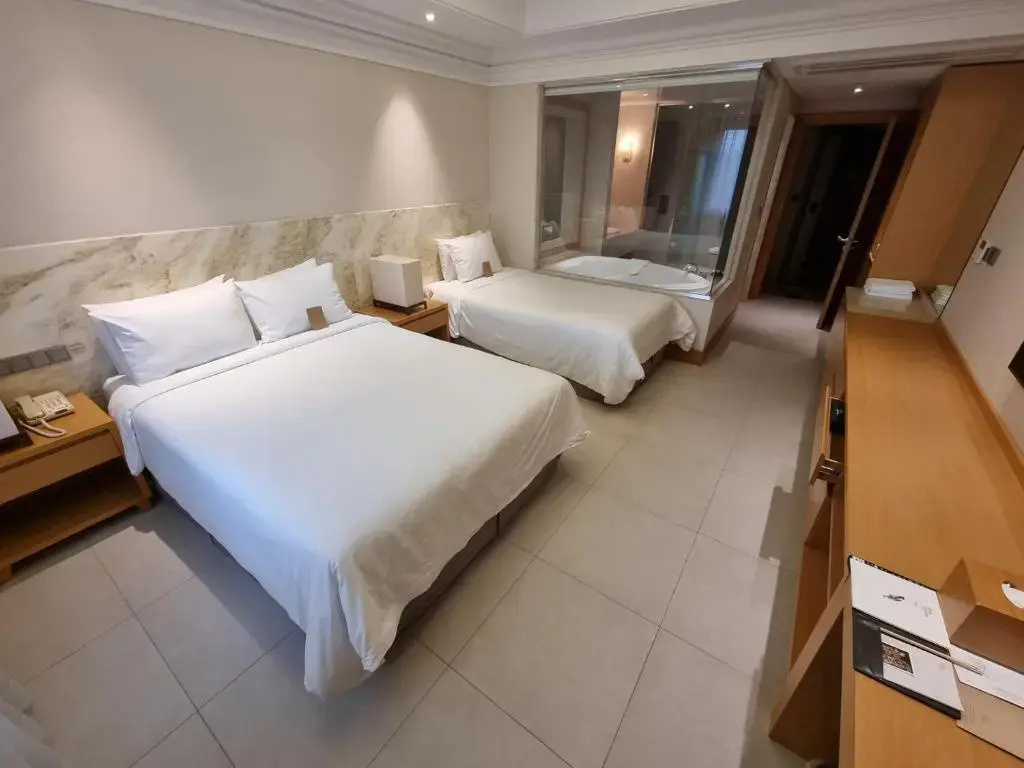 Deluxe Double room (twin beds)