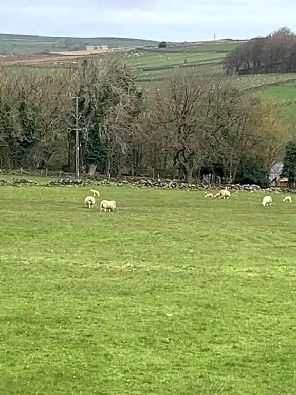 Church Gate Farm