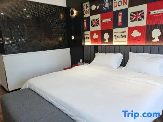 Standard Double room with city view (full double bed)