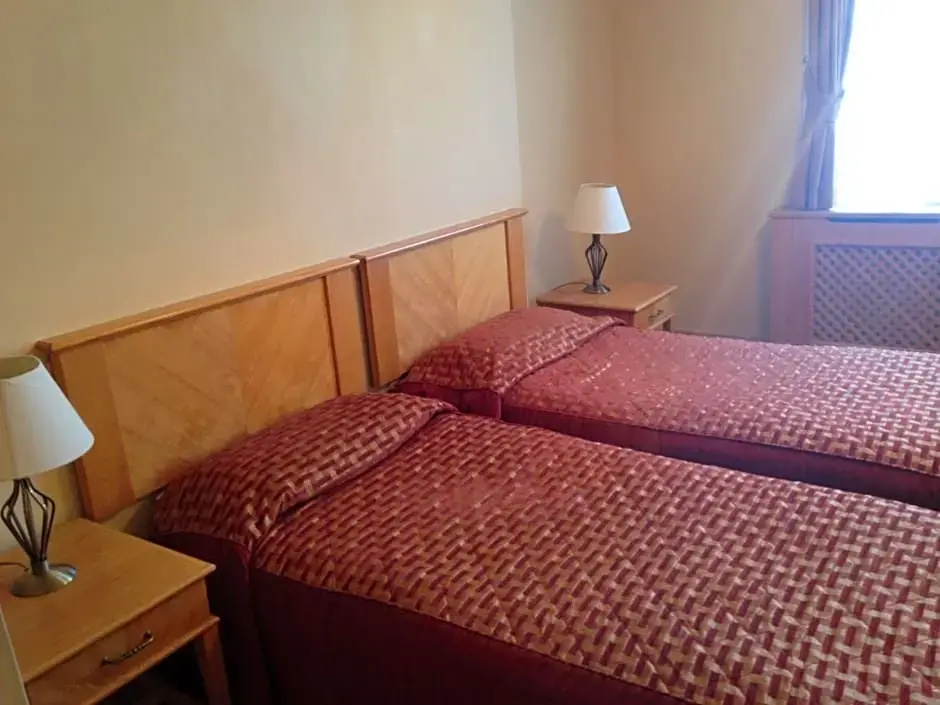 Troy Room Type - Standard Double room with city view (full double bed)
