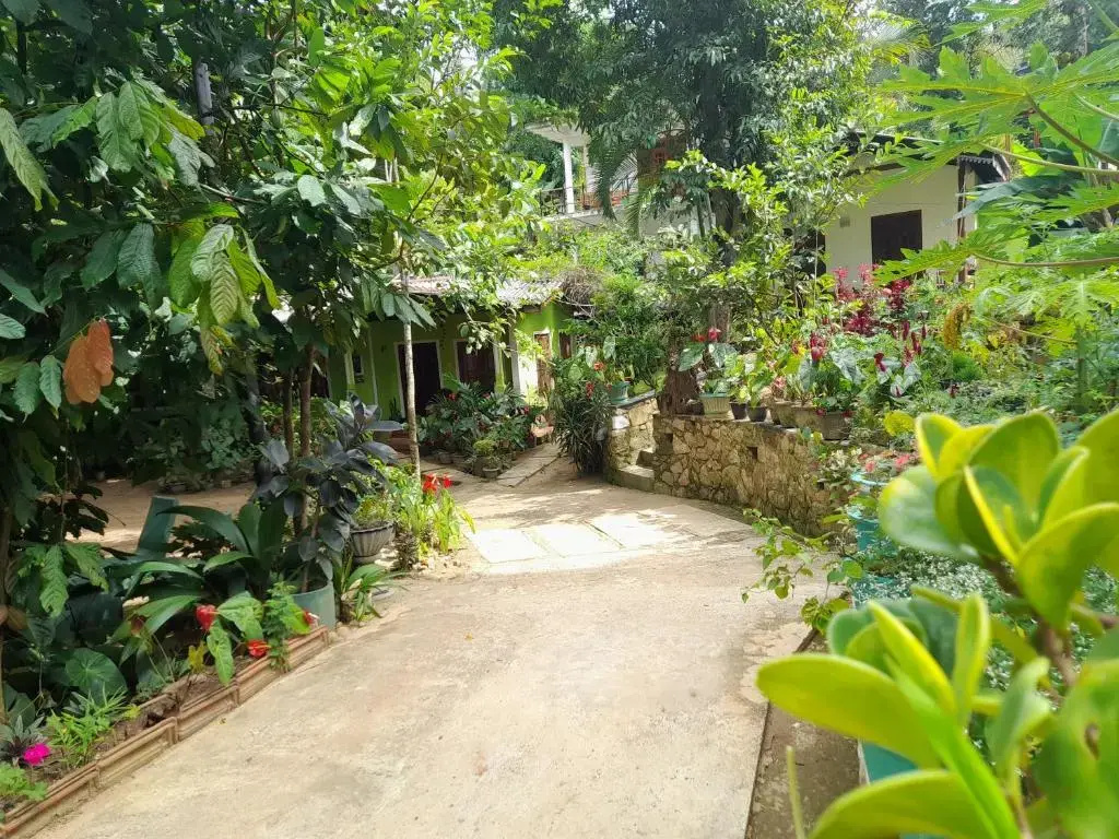 Economy room