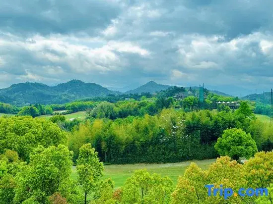 Anji Anlin Mountain Tree Holiday Villa
