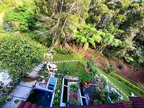 Arundina Cameron Highlands