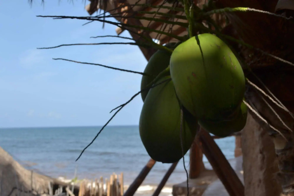 La Posada del Sol Boutique Hotel Tulum - Général