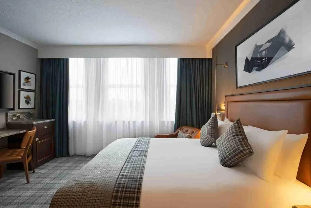 Standard Double room (full double bed)