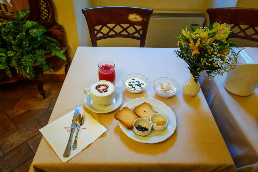 Hotel Fortuna - Général