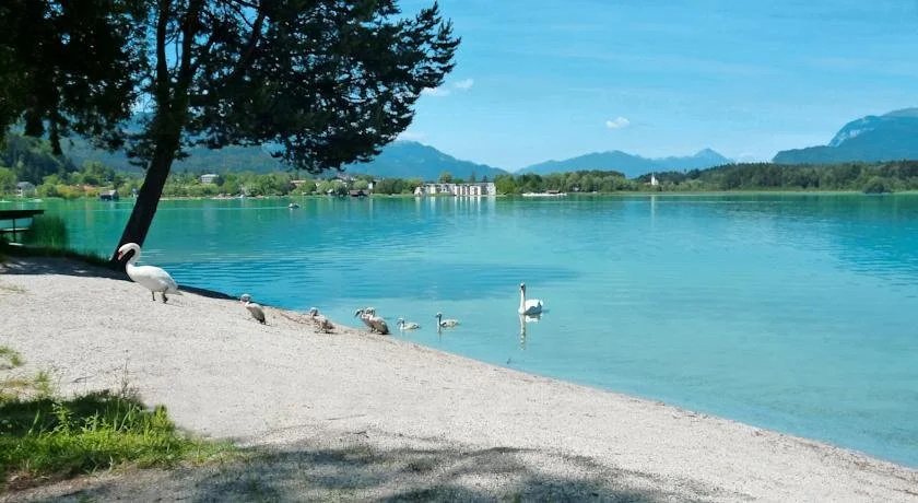 Pension Stissen Haus am See - Général