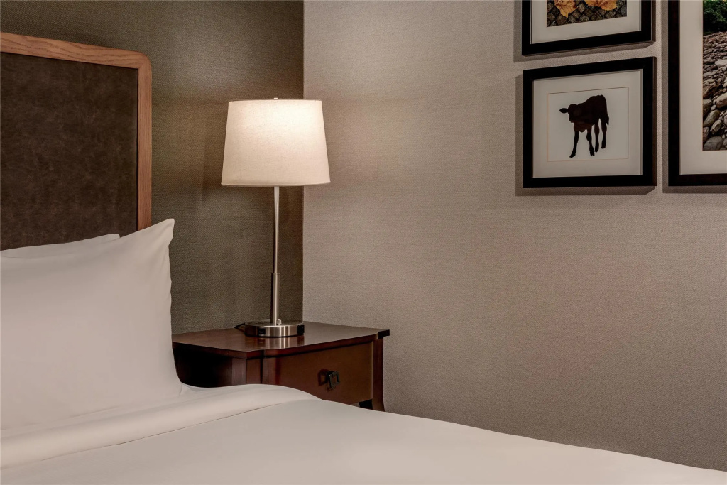 DoubleTree by Hilton Burlington Vermont - Chambres