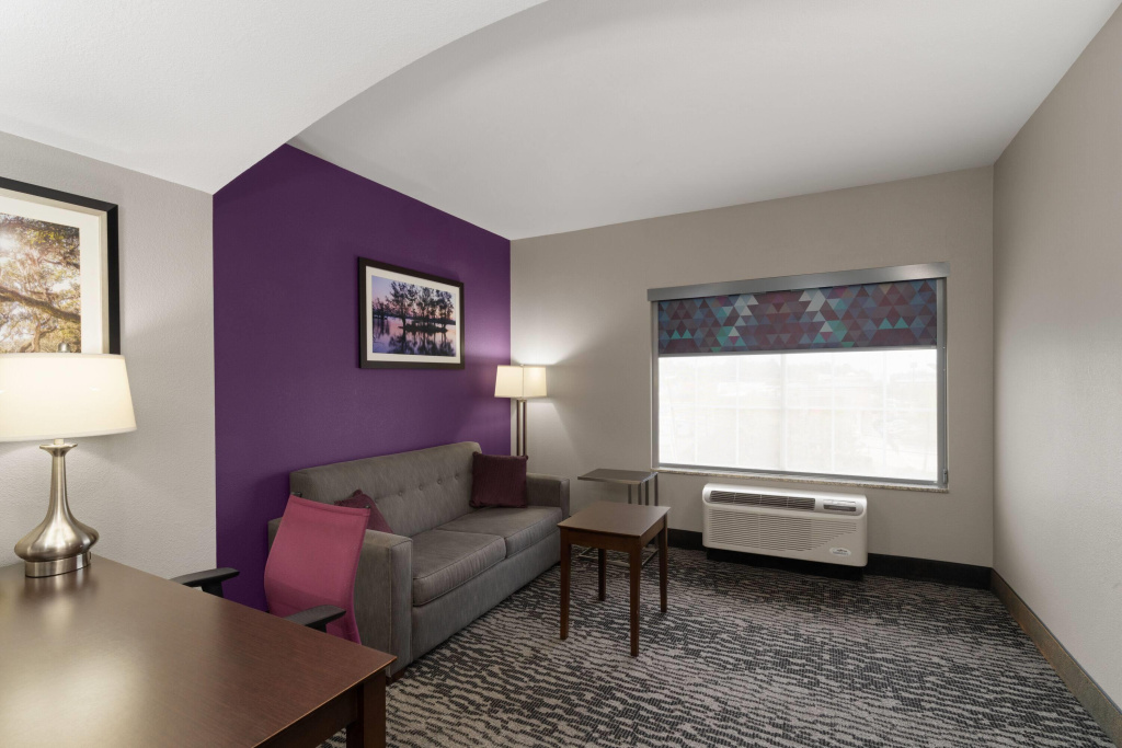 La Quinta Inn & Suites by Wyndham Baton Rouge Denham Springs - Général
