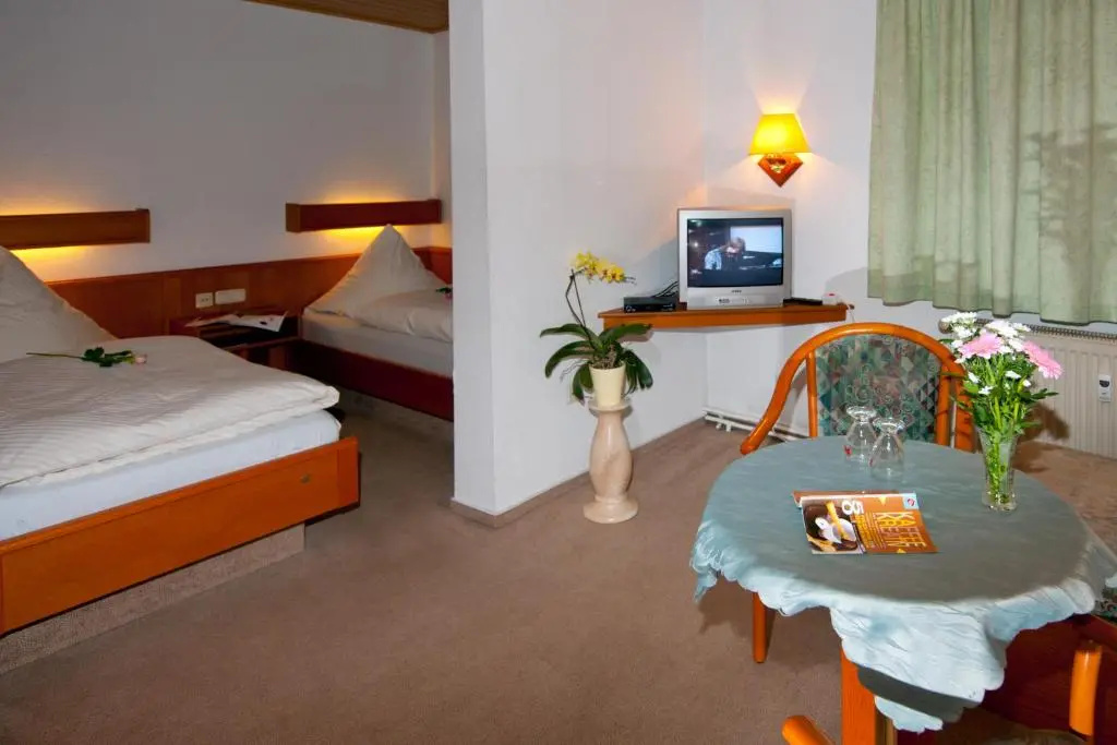 Standard Double room (twin beds)