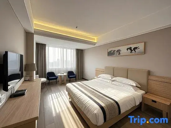 Standard Double room with city view (full double bed)