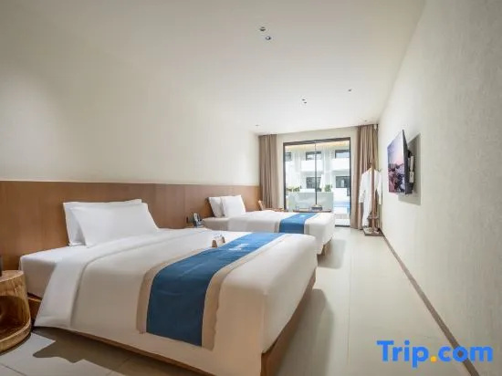 Deluxe Double room (twin beds)