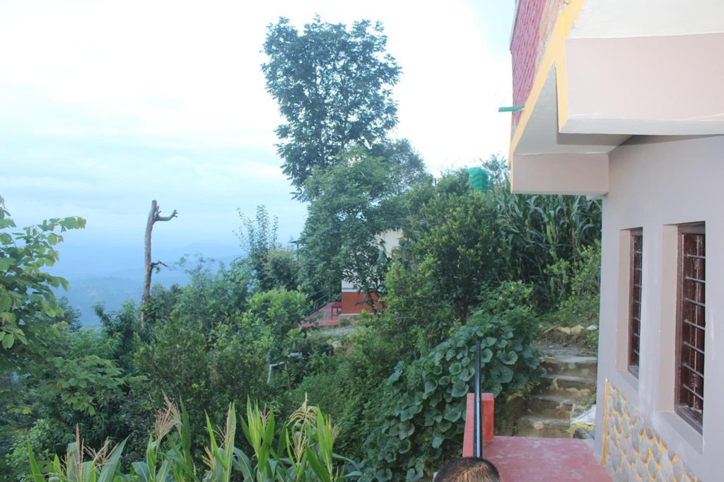 Image 8