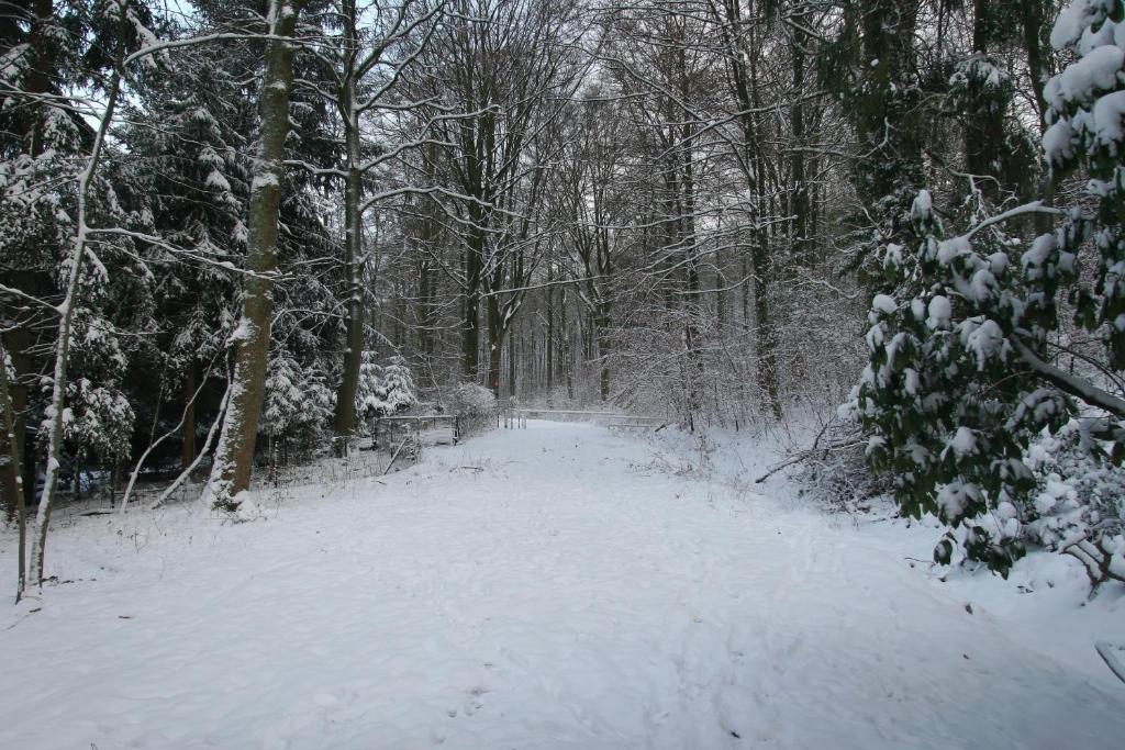 gallery_image_hidden_13