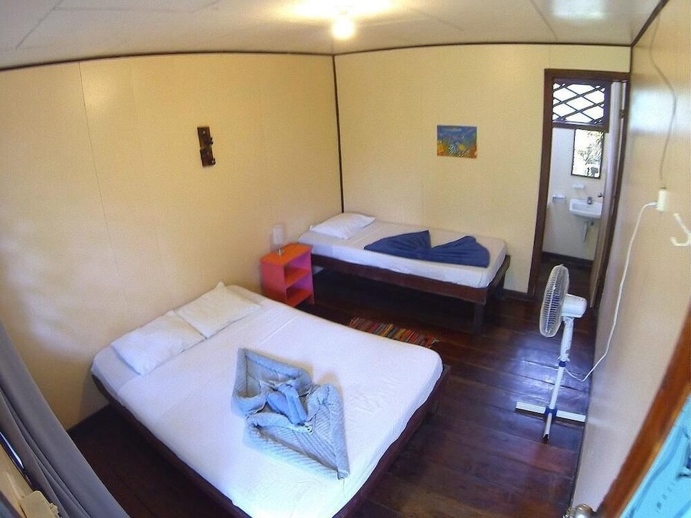 Hostal y Cabinas Tortuguero by null