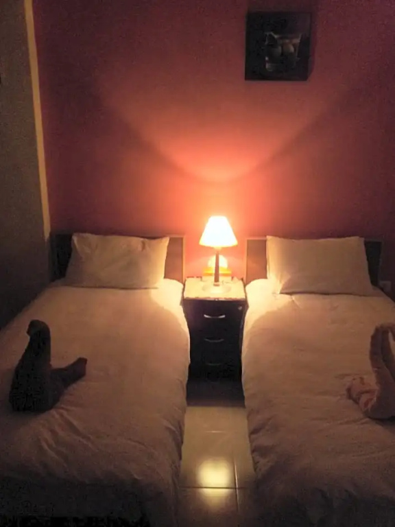 Standard Double room (twin beds)