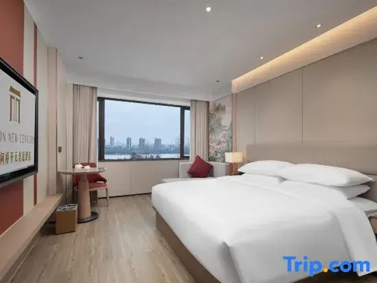 Standard Double room with lake view (full double bed)