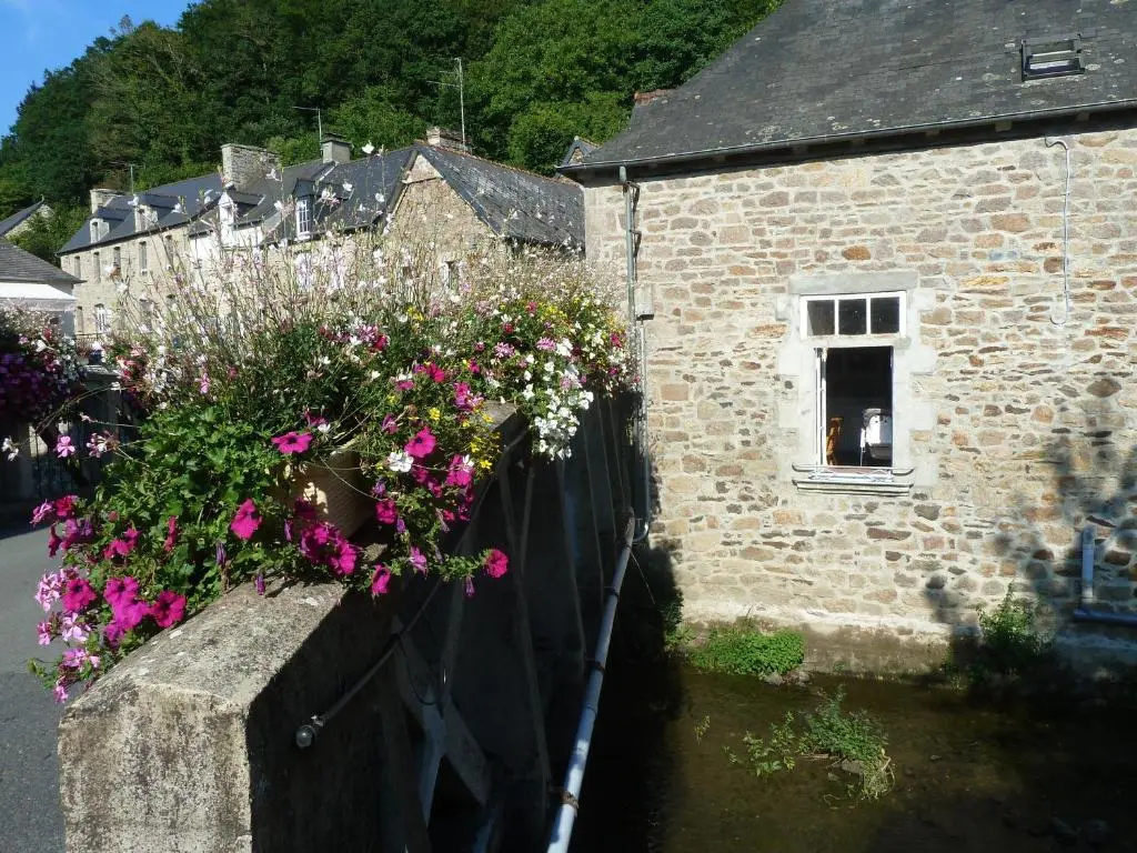 Voir la photo 2 — Rosette River