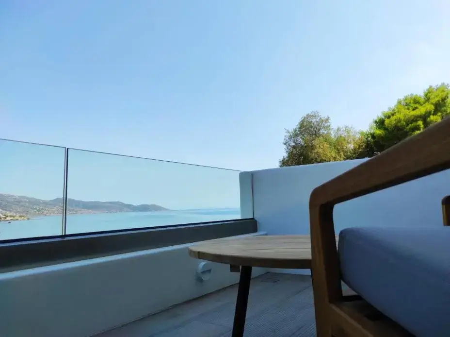 Superior Double room (full double bed)