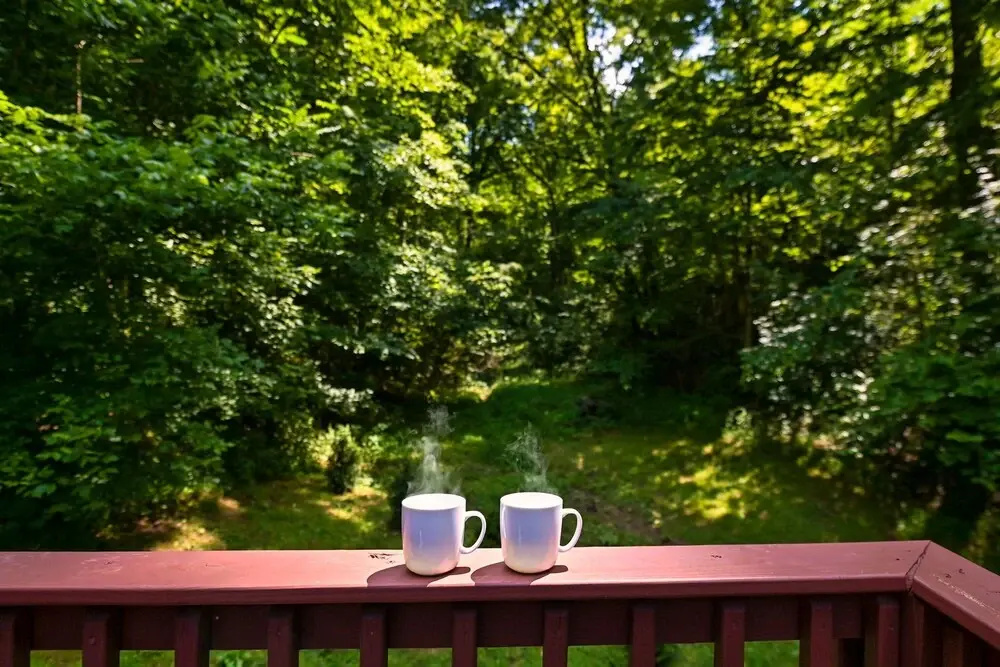 Smoky Mountains Honeymoon Cabin Dog Friendly