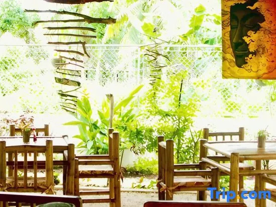 Camotes-Hidden-Huts Rooms -Bar-Restaurant