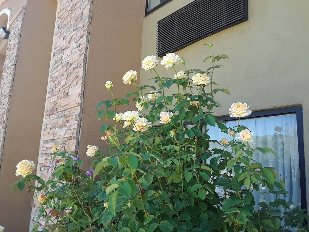 Amerstone Inn & Event Center