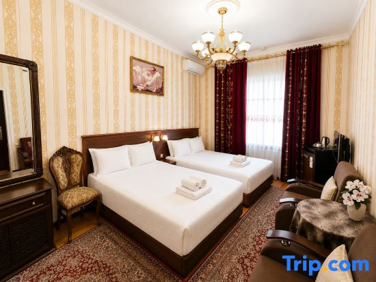 Deluxe Double room (twin beds)