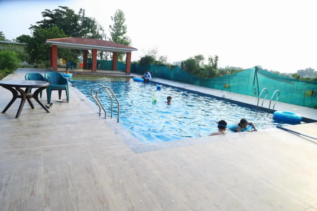 Rhea Safari Lodge - Général