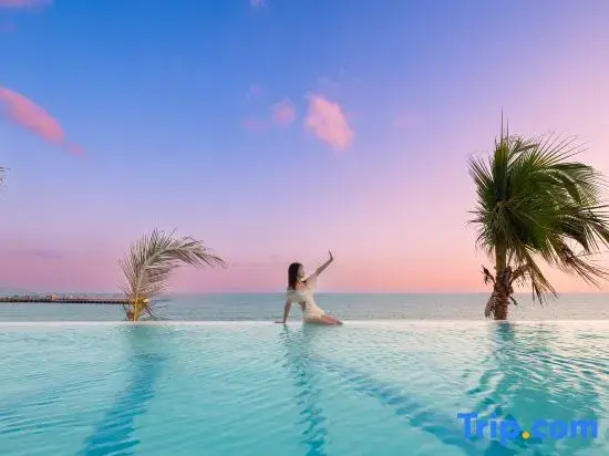 Sanya ZRS Nature Reading · Fengbaijing Seaview Hotel