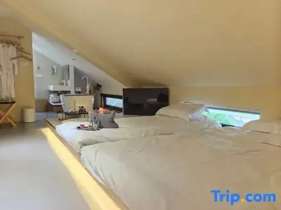 Standard Double Family room (twin beds)