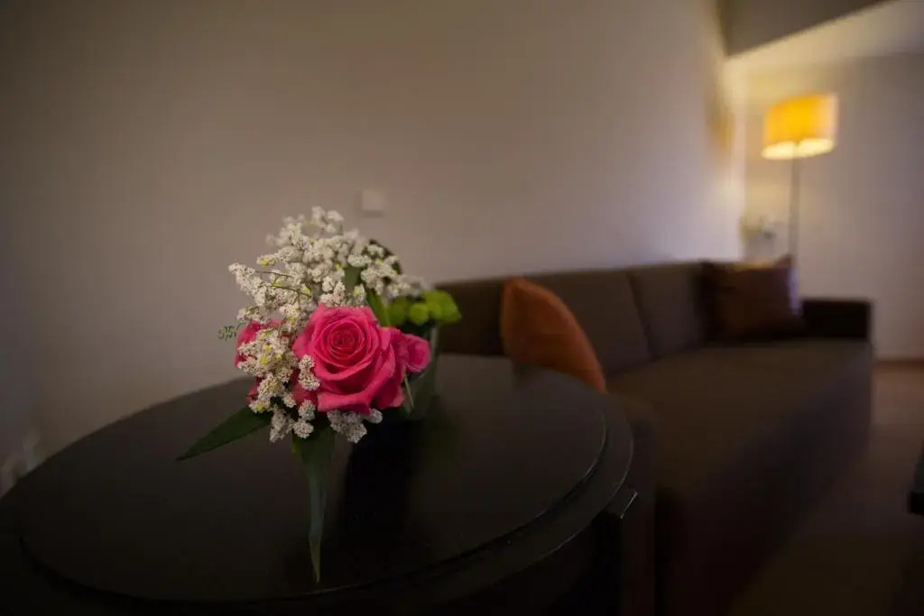Superior Double room (full double bed)