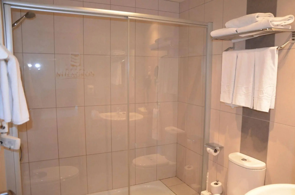 Hotel Milagros Rio Riaza - Général